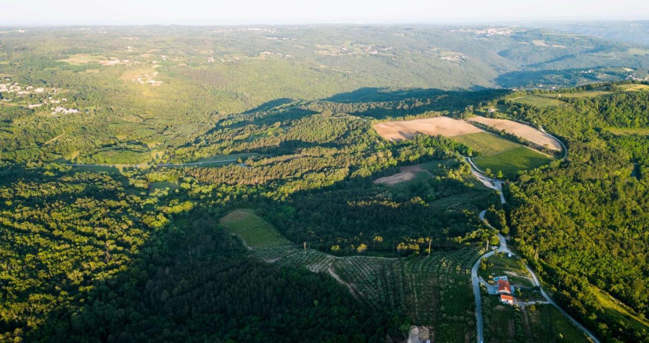 Villa Meloni Motovun Εξωτερικό φωτογραφία
